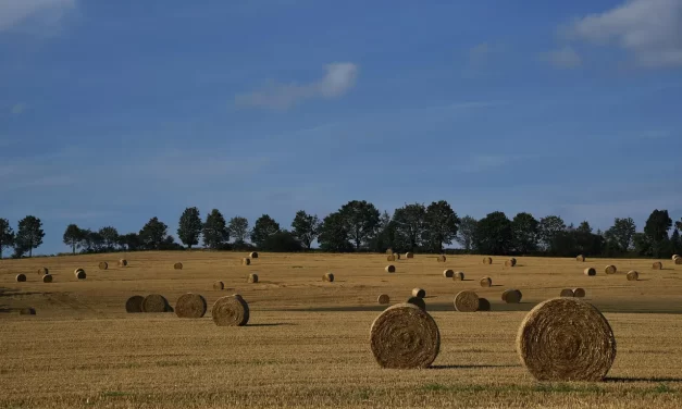 👑 What It Means to Become the King of One’s Kingdom When One Dies: Returning to the Origin | Master Woo Myung | Santa Clara Meditation