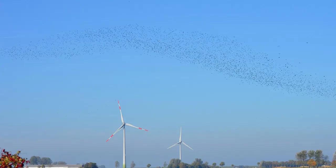 🌙 Leibniz’s Monads: What Is Right and Wrong About His Philosophy of Reality | Master Woo Myung | Santa Clara Meditation