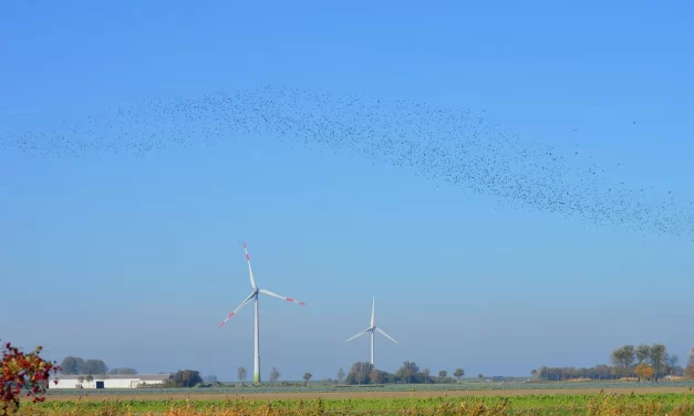 🌙 Leibniz’s Monads: What Is Right and Wrong About His Philosophy of Reality | Master Woo Myung | Santa Clara Meditation