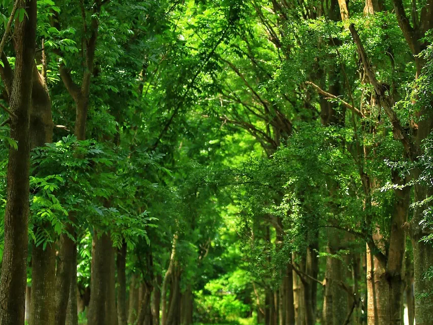 💫 The Completion of Man Leads to the Completion of His Life, and Only Such a Life Is Truly Complete | Master Woo Myung | Santa Clara Meditation