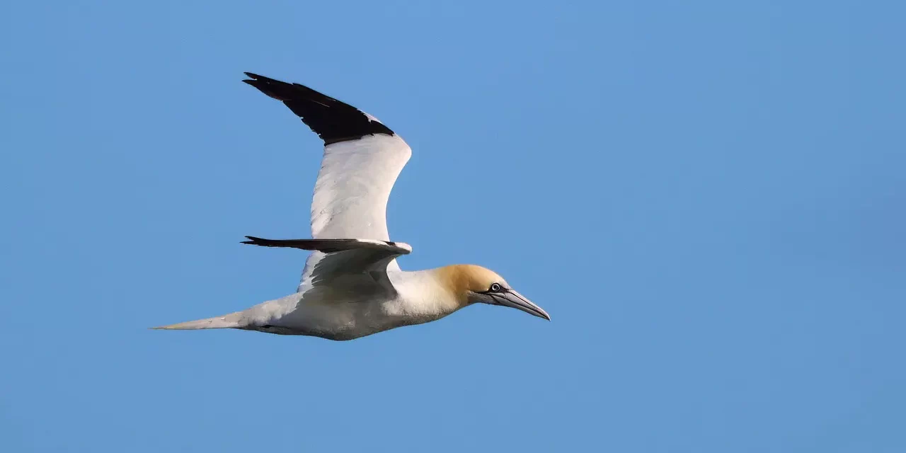 🌌 Truth Does Not Disappear No Matter How Much One Tries to Destroy It: Eternal Existence of Truth | Master Woo Myung | Santa Clara Meditation