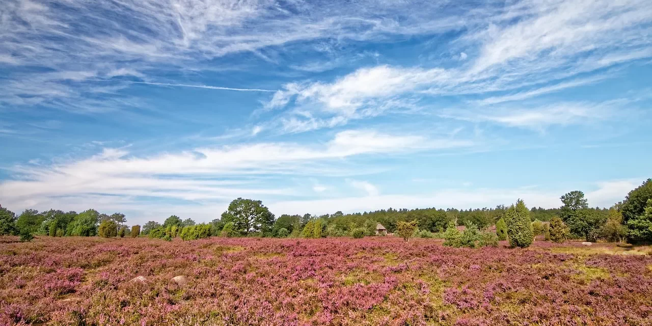 🌠 Is the Deist God Real? Law, Order, and the True Nature of God | Master Woo Myung | Santa Clara Meditation