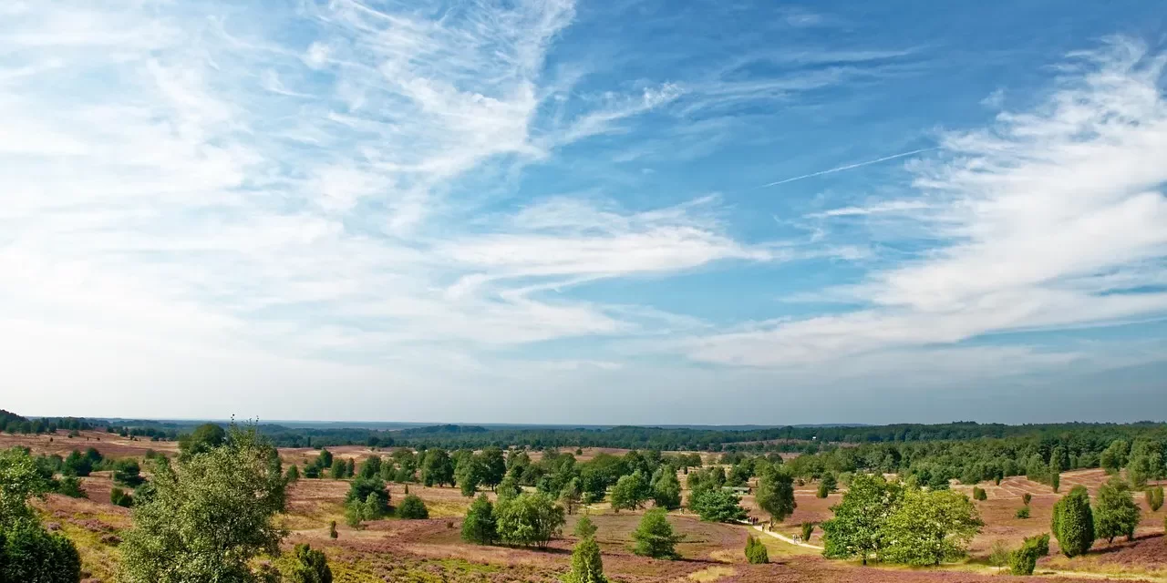 🕊️ To Become Completely Free: Entering True Paradise While Alive | Master Woo Myung | Santa Clara Meditation