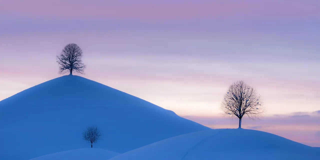 🌿 The Complete Land: Being Reborn in the Land Without Death | Master Woo Myung | Santa Clara Meditation