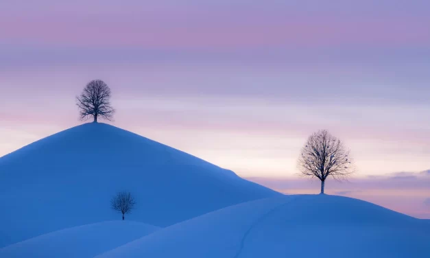 🌿 The Complete Land: Being Reborn in the Land Without Death | Master Woo Myung | Santa Clara Meditation