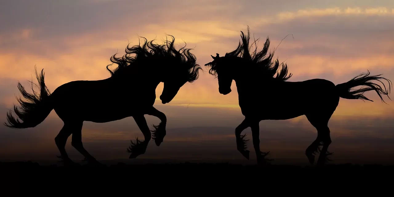 ❤️ Believing with the Heart and Confessing with the Mouth: The Path to Salvation | Master Woo Myung | Santa Clara Meditation