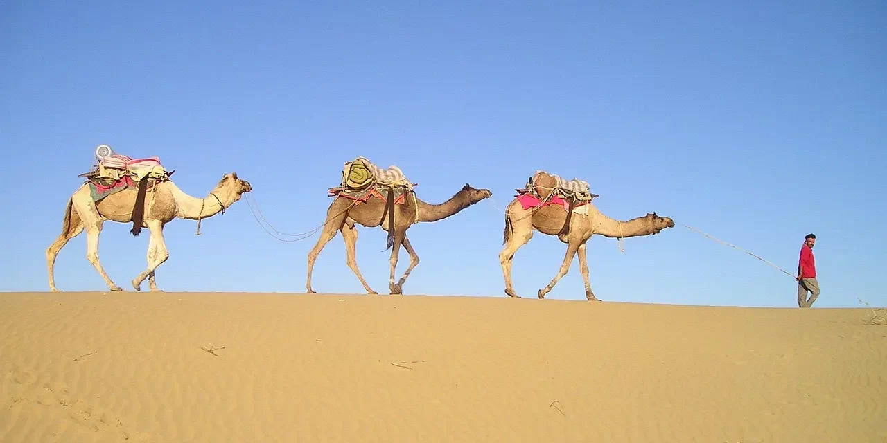 🌿 Recovering Our Original Nature: Living in the Flow of Truth | Master Woo Myung | Santa Clara Meditation