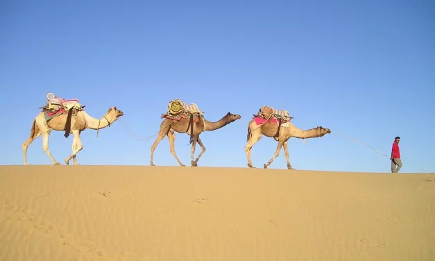 🌿 Recovering Our Original Nature: Living in the Flow of Truth | Master Woo Myung | Santa Clara Meditation