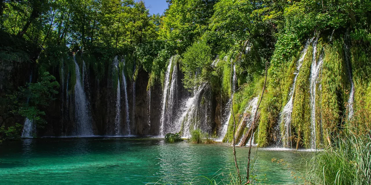 🌟 Enlightenment Is Faith | Master Woo Myung | Santa Clara Meditation