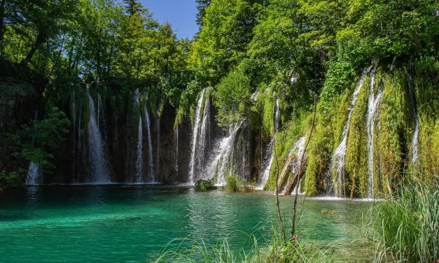 🌟 Enlightenment Is Faith | Master Woo Myung | Santa Clara Meditation