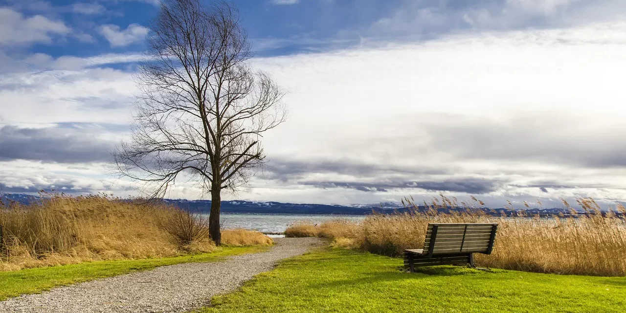 🌾 Worries: When Attachments Turn Stories into Dreams | Master Woo Myung | Santa Clara Meditation