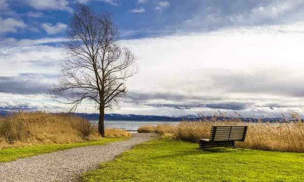 🌾 Worries: When Attachments Turn Stories into Dreams | Master Woo Myung | Santa Clara Meditation