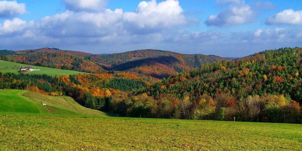 🧭 Those Illusions… – Wandering Through Memories and the False World | Master Woo Myung | Santa Clara Meditation