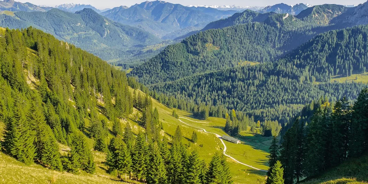 🧩 Thomas Aquinas and the Five Levels of Existence: Why There Is No Hierarchy in Truth | Master Woo Myung | Santa Clara Meditation