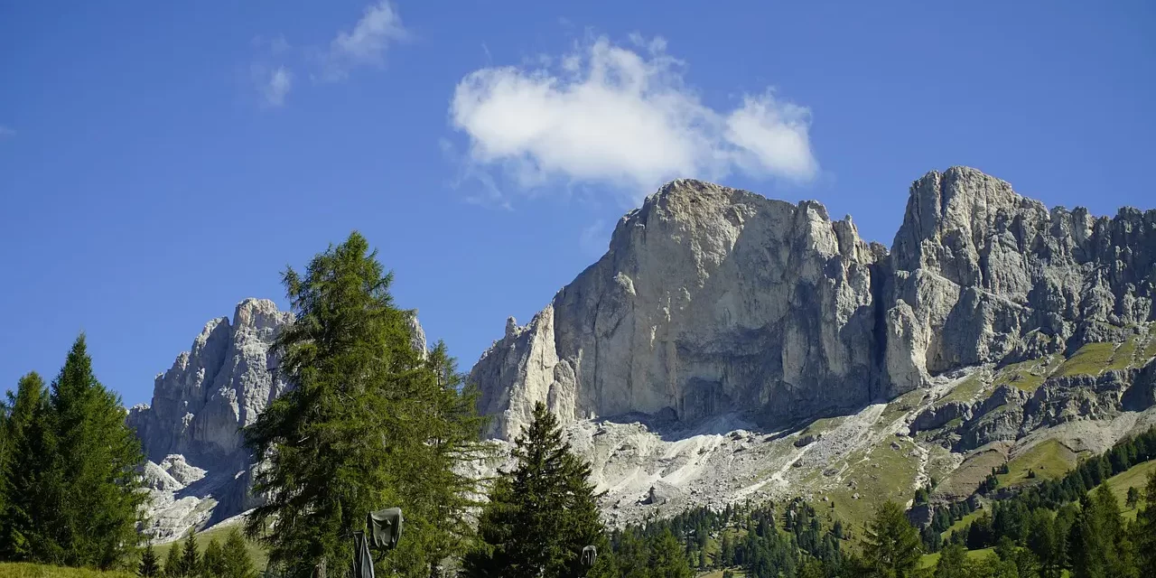 🏛️ Capitalism, Communism, Socialism: What Is Lacking in Each System? | Master Woo Myung | Santa Clara Meditation