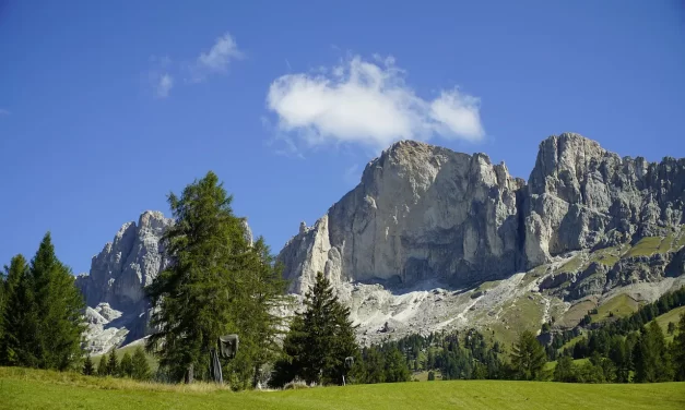 🏛️ Capitalism, Communism, Socialism: What Is Lacking in Each System? | Master Woo Myung | Santa Clara Meditation