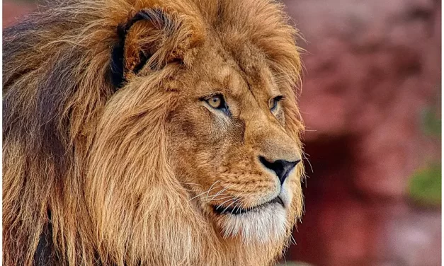 🌿 Self-Restraint When Alone: Suppression vs. Living Without the Self | Master Woo Myung | Santa Clara Meditation