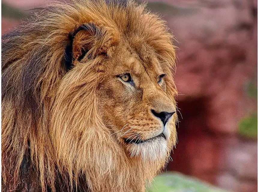 🌿 Self-Restraint When Alone: Suppression vs. Living Without the Self | Master Woo Myung | Santa Clara Meditation