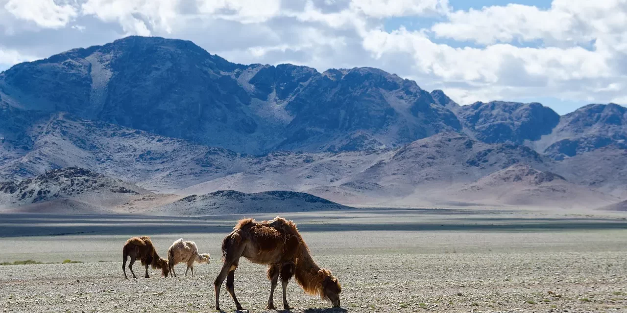 🌌 Thought-Mass, Begone: Casting Out Delusion and Becoming Truth | Master Woo Myung | Santa Clara Meditation