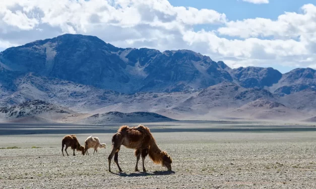 🌌 Thought-Mass, Begone: Casting Out Delusion and Becoming Truth | Master Woo Myung | Santa Clara Meditation