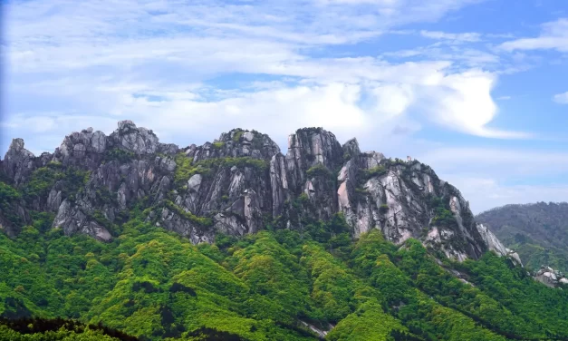 🌌 Nature’s Flow: Living as Truth in the Universe | Master Woo Myung | Santa Clara Meditation