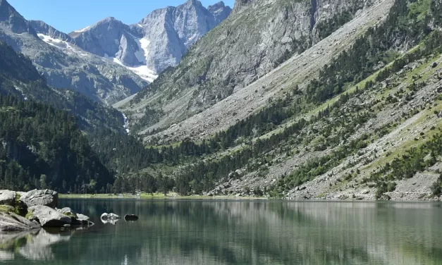 💫 The Real Mind: The Invisible Form That Fills the Universe | Master Woo Myung | Santa Clara Meditation