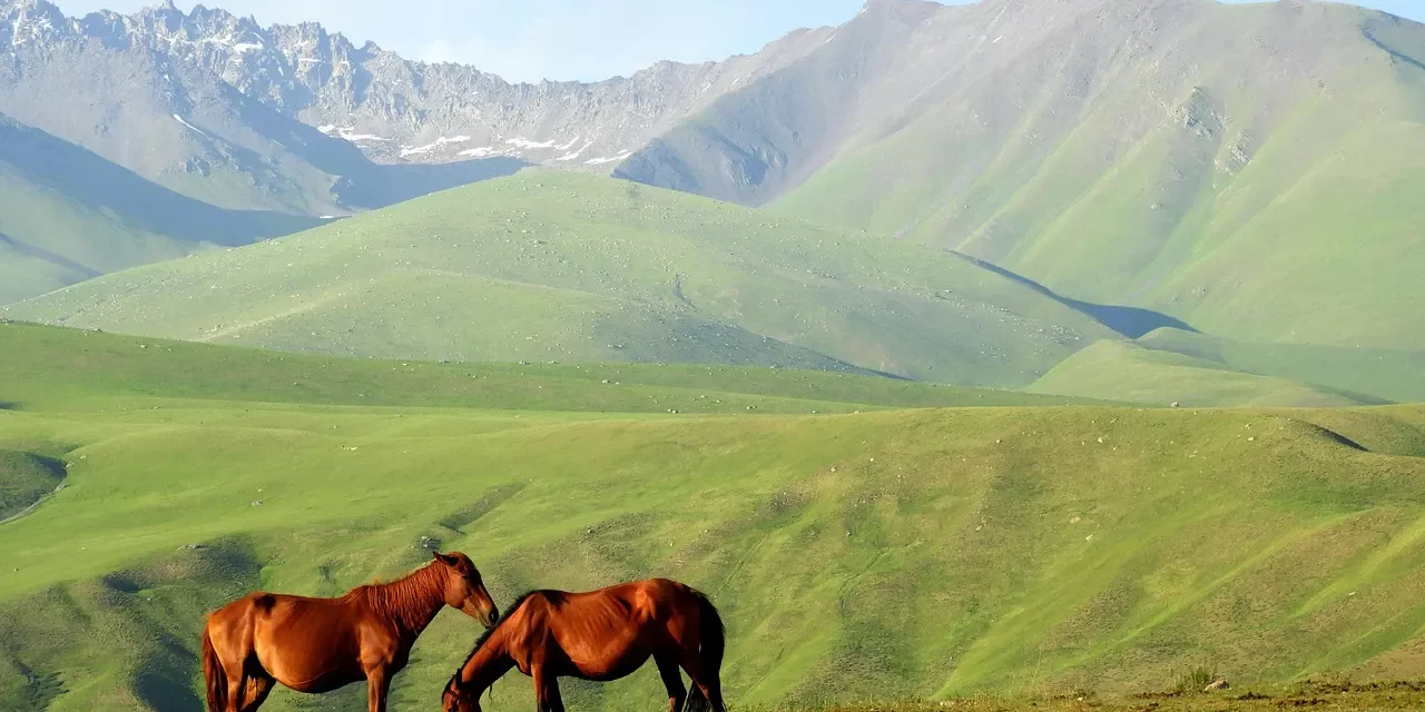 🌻 The Era of Saints: Becoming an Immortal of Truth | Master Woo Myung | Santa Clara Meditation