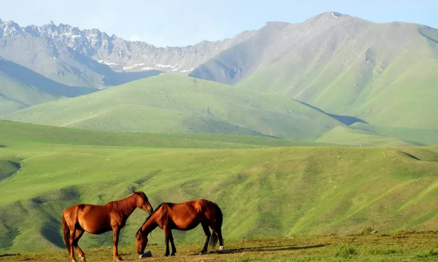 🌻 The Era of Saints: Becoming an Immortal of Truth | Master Woo Myung | Santa Clara Meditation