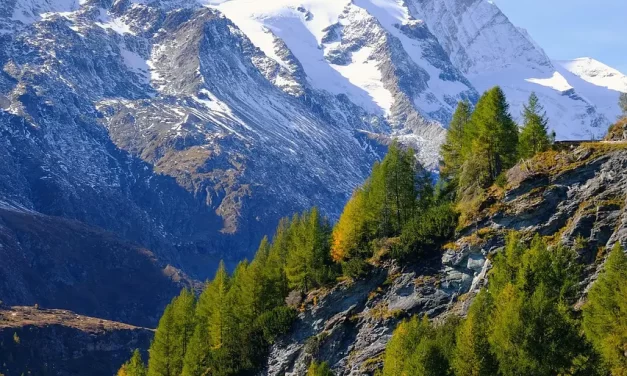 🌐 What Do All Religions Have in Common? Becoming Truth in the True World | Master Woo Myung | Santa Clara Meditation