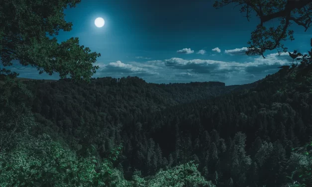 🌍 Let Us Live by Becoming the World: Becoming One with Nature and Truth | Master Woo Myung | Santa Clara Meditation