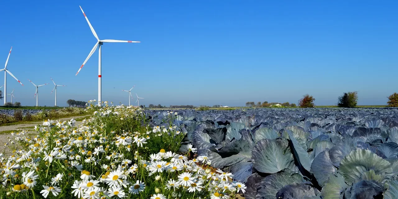 🌸 Hegel, Dialectics, and the Limits of Human Reasoning | Master Woo Myung | Santa Clara Meditation