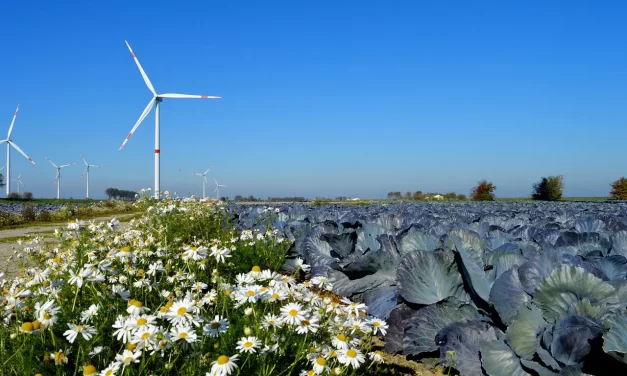 🌸 Hegel, Dialectics, and the Limits of Human Reasoning | Master Woo Myung | Santa Clara Meditation