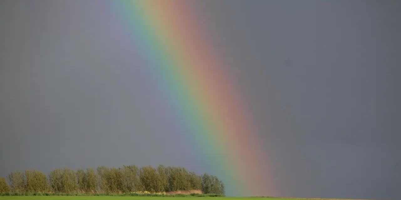 🌀 Habits II: How Life Habits Remain After Cleansing the Mind | Master Woo Myung | Santa Clara Meditation