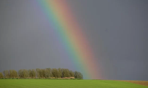 🌀 Habits II: How Life Habits Remain After Cleansing the Mind | Master Woo Myung | Santa Clara Meditation