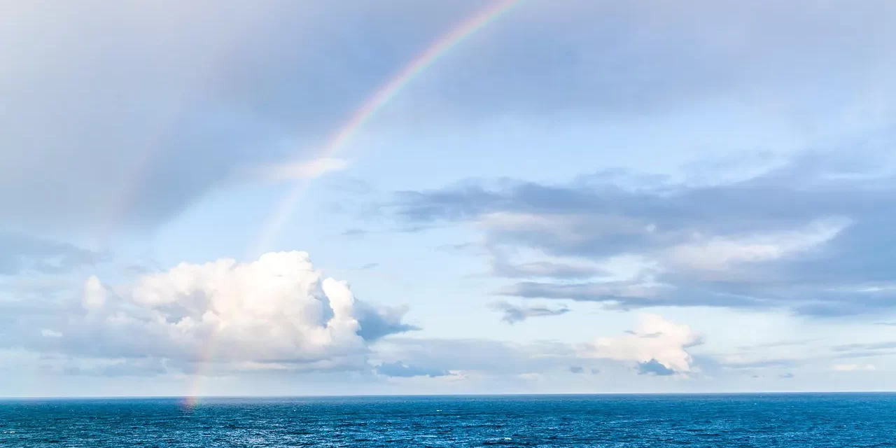 🧭 One Can Know Truth Only After Becoming Truth: Beyond Personal Conceptions | Master Woo Myung | Santa Clara Meditation