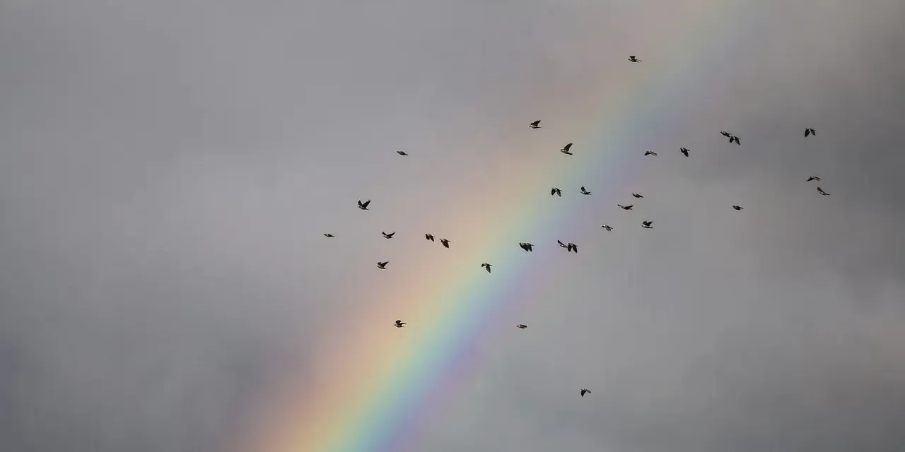 🌌 The Origin I: The Empty Space as the Source of All Creation | Master Woo Myung | Santa Clara Meditation