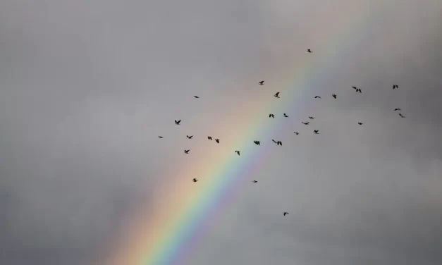 🌌 The Origin I: The Empty Space as the Source of All Creation | Master Woo Myung | Santa Clara Meditation