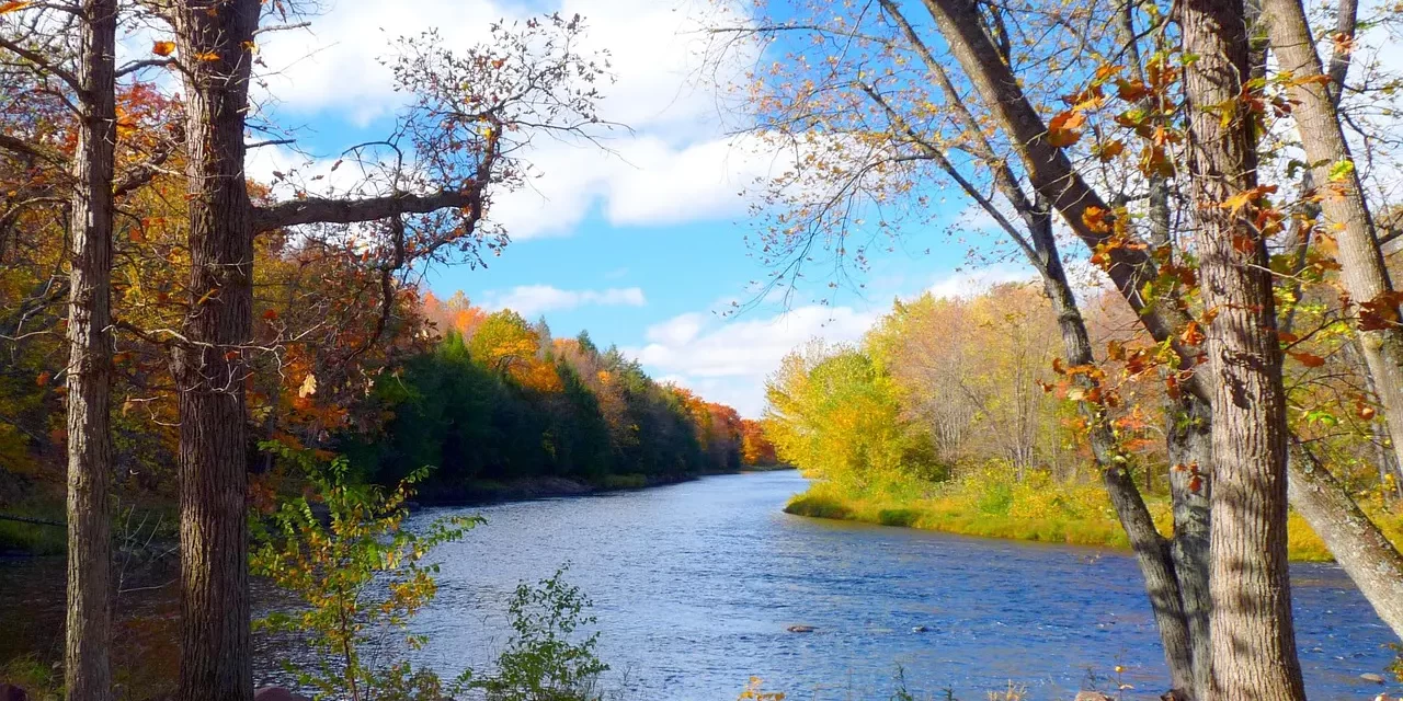 🌫️ Sorrow: The Silent Existence Beyond Human Stories | Master Woo Myung | Santa Clara Meditation