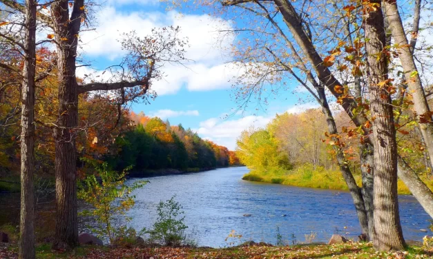 🌫️ Sorrow: The Silent Existence Beyond Human Stories | Master Woo Myung | Santa Clara Meditation