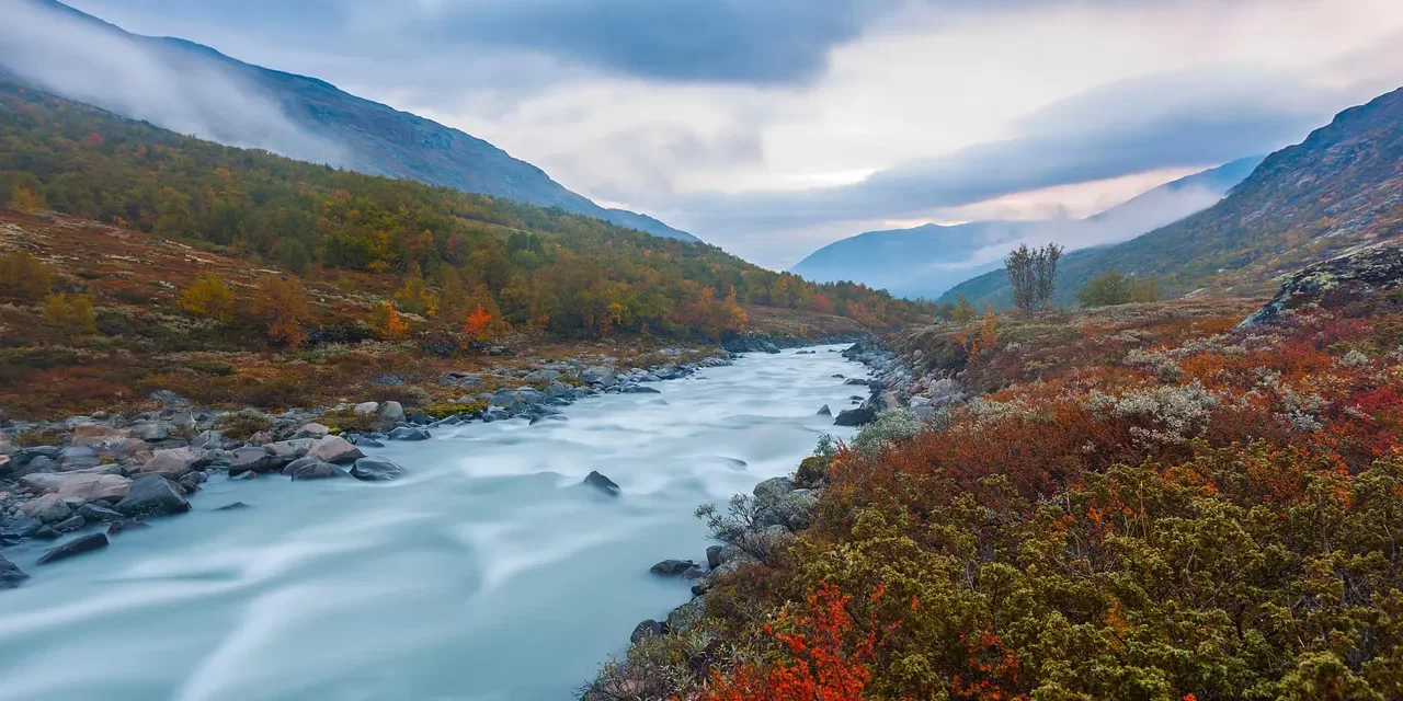 🪷 The Savior from the Sky: Maitreya and Christ as Truth | Master Woo Myung | Santa Clara Meditation