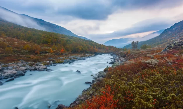 🪷 The Savior from the Sky: Maitreya and Christ as Truth | Master Woo Myung | Santa Clara Meditation