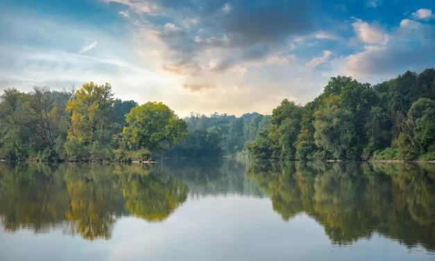 🌫️ Falseness I: Why All Pain and Sorrow Are Like a Passing Dream | Master Woo Myung | Santa Clara Meditation