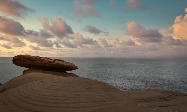 🌌 Where You Go Once Your Body Dies: Awakening from the Dream of the False Mind | Master Woo Myung | Santa Clara Meditation