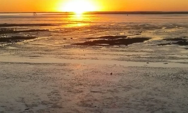 🌟 Blessings: Why True Blessings Begin in the Mind | Master Woo Myung | Santa Clara Meditation