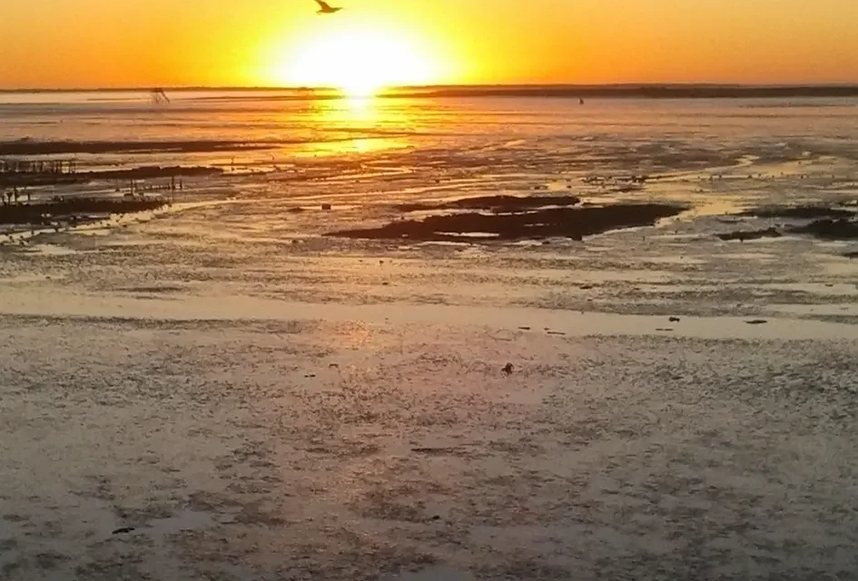 🌟 Blessings: Why True Blessings Begin in the Mind | Master Woo Myung | Santa Clara Meditation