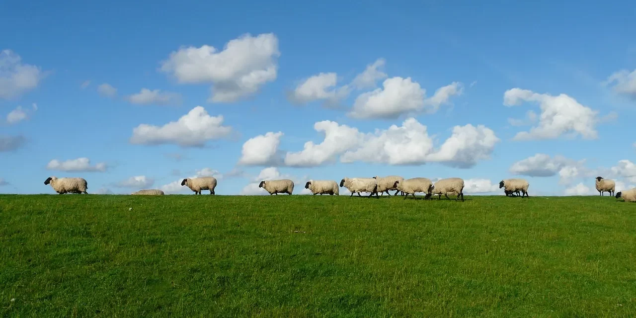 🌄 The New Sky and the New Earth – From the World of Sin to the World of Truth | Master Woo Myung | Santa Clara Meditation
