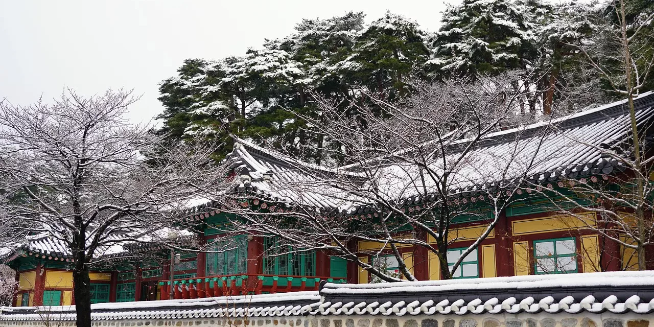 🕊️ What Being Reborn as the Holy Spirit Means | Master Woo Myung | Santa Clara Meditation
