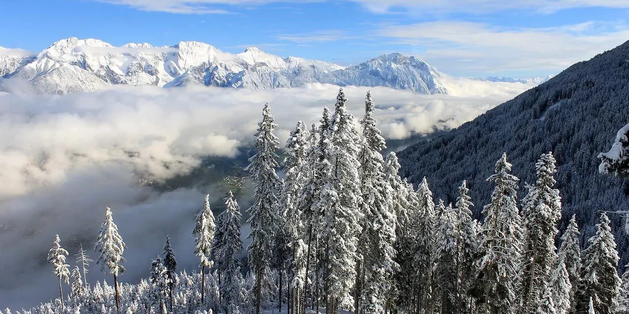 🛡️ What Would the Savior Do When He Comes? | Master Woo Myung | Santa Clara Meditation