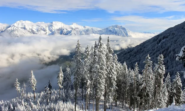 🛡️ What Would the Savior Do When He Comes? | Master Woo Myung | Santa Clara Meditation