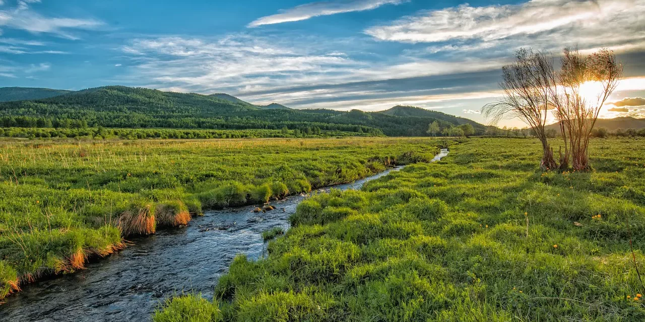 🌅 One Must Be the Origin in Order to Live as the True Origin | Master Woo Myung | Santa Clara Meditation